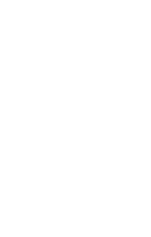 Logo Sistan footer