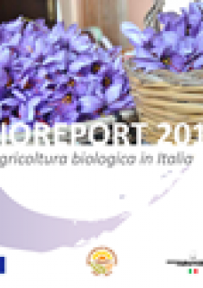 BIOREPORT_2013_WEB.png
