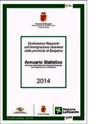 XII Rapporto sull'immigrazione straniera nella provincia di Bergamo XII Rapporto sull'immigrazione straniera nella provincia di Bergamo