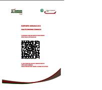 Rapporto annuale sull'economia comasca Rapporto annuale sull'economia comasca
